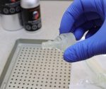 Gloved hand holding a clear plastic dropper nozzle over a perforated lab tray in a science setting.